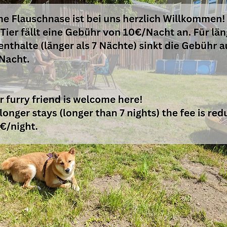H6 -Urlaubsmagie- Wohnung Fuer 3 Mit Pool & Terrasse 세브니츠 외부 사진