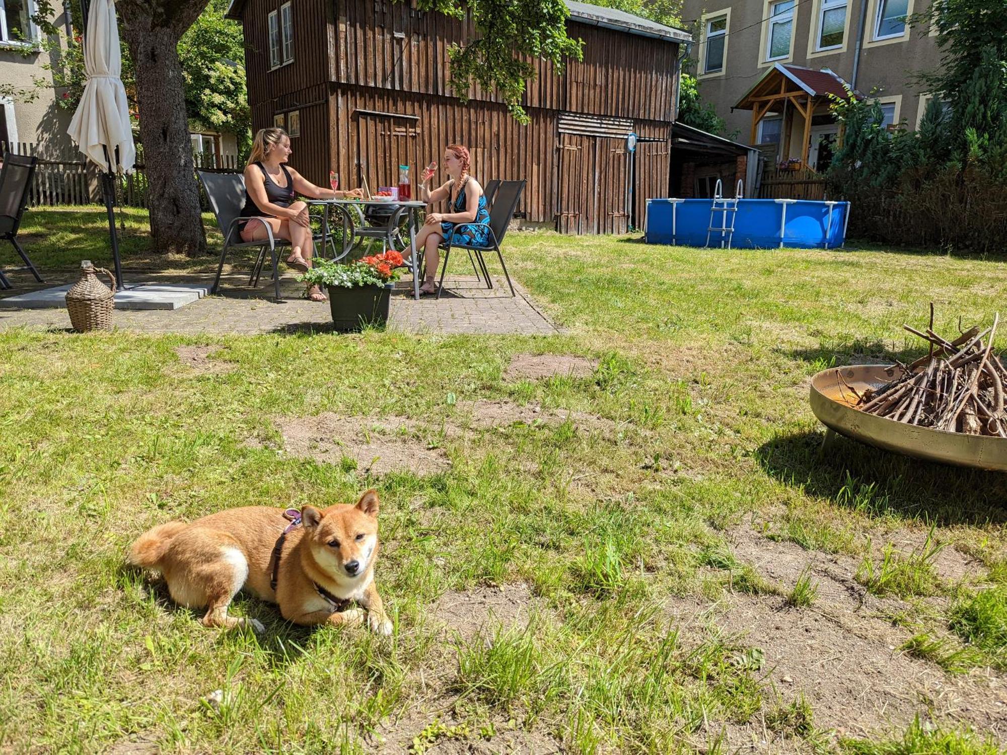 H6 -Urlaubsmagie- Wohnung Fuer 3 Mit Pool & Terrasse 세브니츠 외부 사진